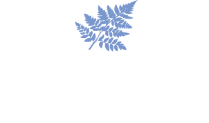 Felce Azzurra